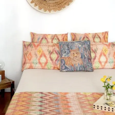 Boho-chic Traditional Historic Centre Flat